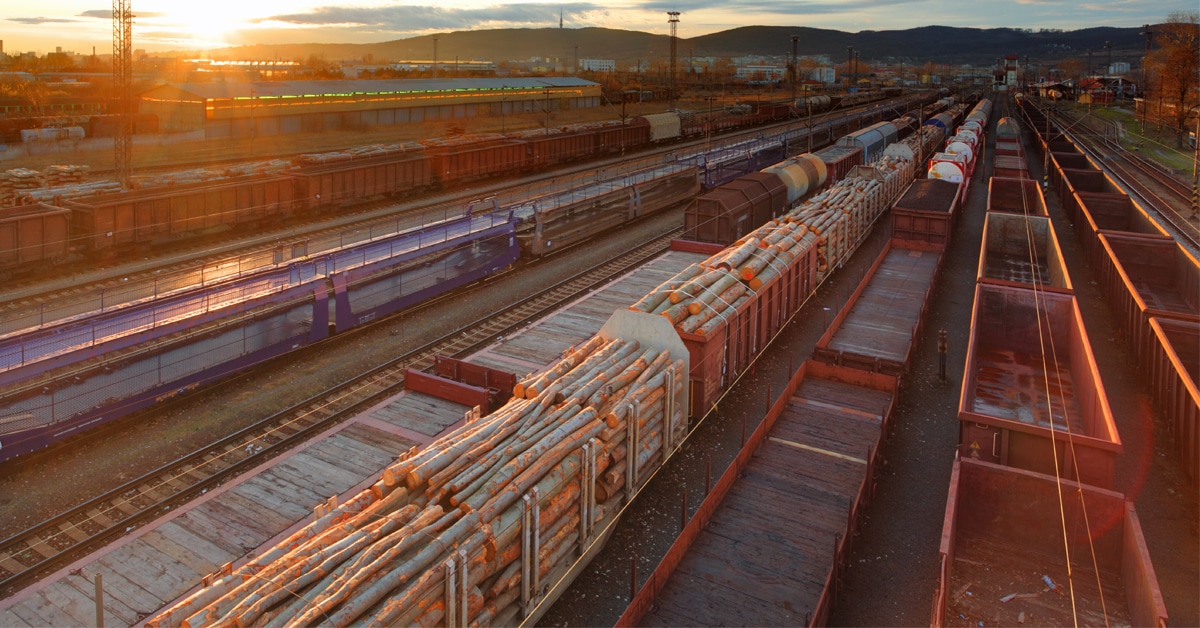 Rail freight and transloading terminal with lines of trains filled with wooden logs.