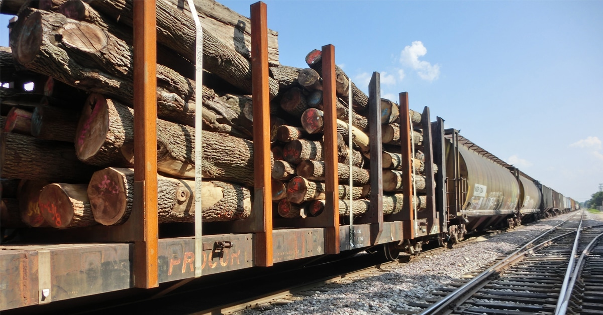 Several large logs of wood being hauled on a train in front of other railcars.