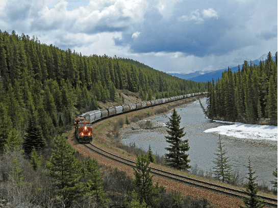 A train running along tracks in a forest next to a river.