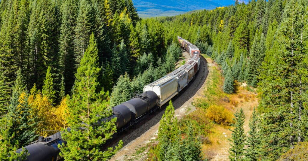 A series of black rail tank cars and white hopper cars weaves through a green pine forest.