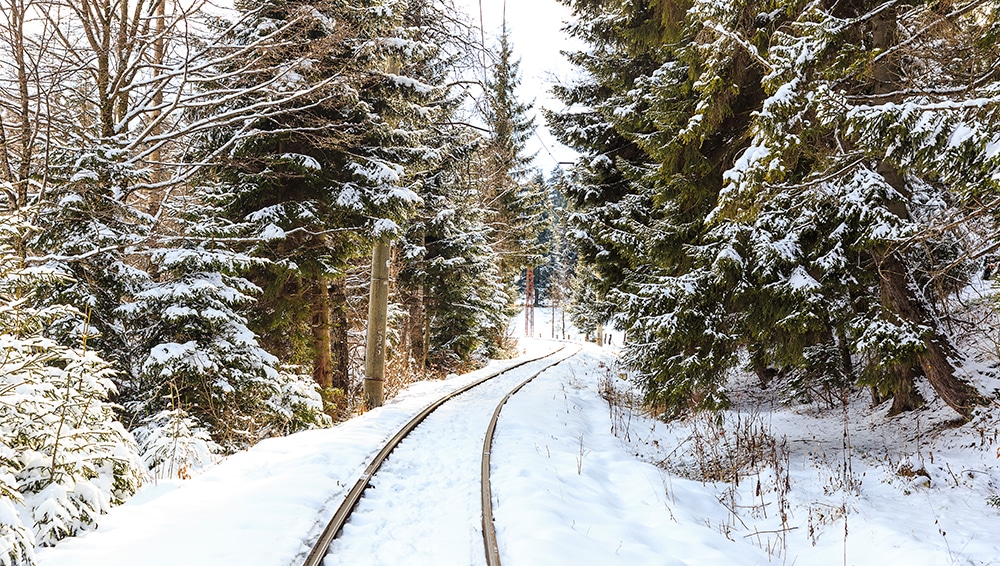railroad in forest